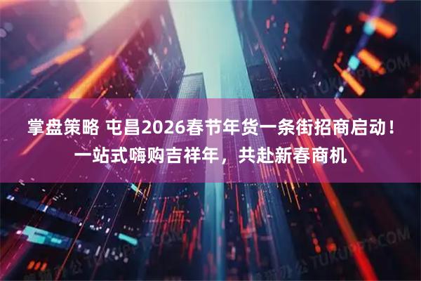 掌盘策略 屯昌2026春节年货一条街招商启动！一站式嗨购吉祥年，共赴新春商机