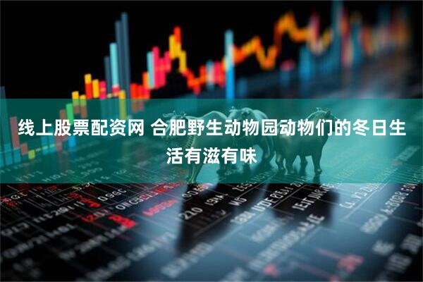线上股票配资网 合肥野生动物园动物们的冬日生活有滋有味