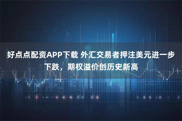 好点点配资APP下载 外汇交易者押注美元进一步下跌，期权溢价创历史新高