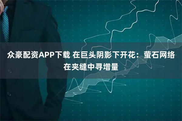 众豪配资APP下载 在巨头阴影下开花：萤石网络在夹缝中寻增量