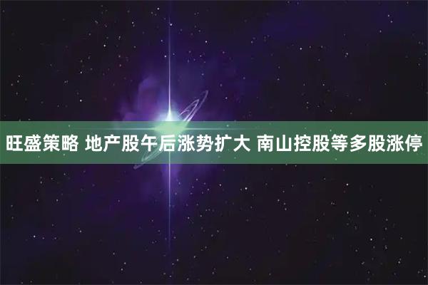 旺盛策略 地产股午后涨势扩大 南山控股等多股涨停