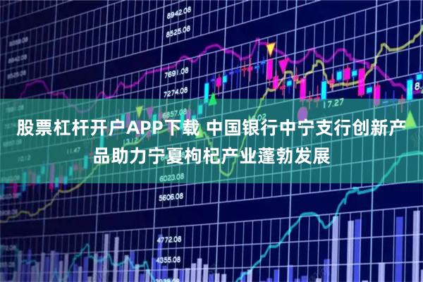 股票杠杆开户APP下载 中国银行中宁支行创新产品助力宁夏枸杞产业蓬勃发展
