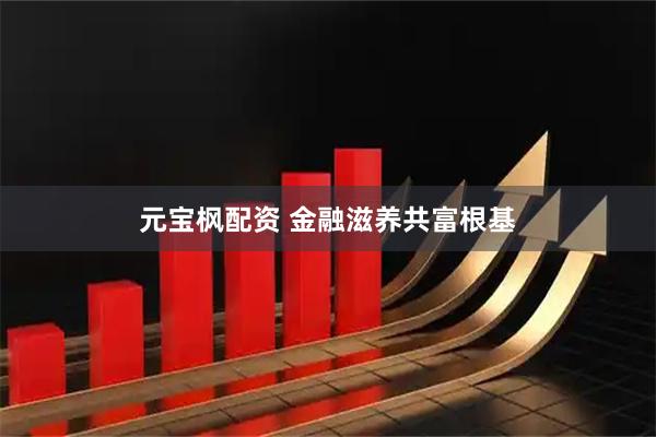 元宝枫配资 金融滋养共富根基