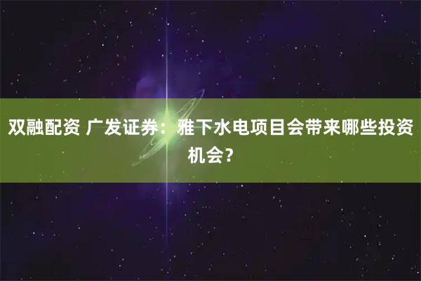 双融配资 广发证券：雅下水电项目会带来哪些投资机会？