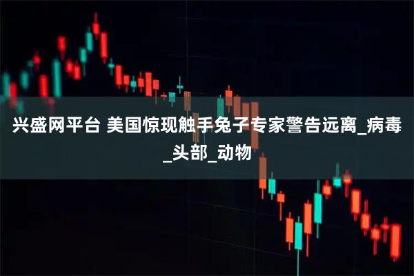 兴盛网平台 美国惊现触手兔子专家警告远离_病毒_头部_动物