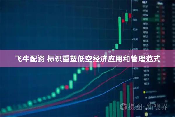 飞牛配资 标识重塑低空经济应用和管理范式