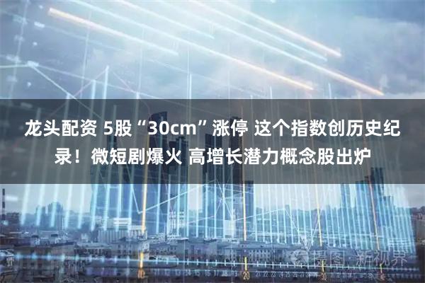 龙头配资 5股“30cm”涨停 这个指数创历史纪录！微短剧爆火 高增长潜力概念股出炉