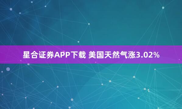 星合证券APP下载 美国天然气涨3.02%